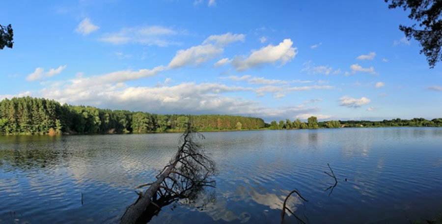 Оріхова